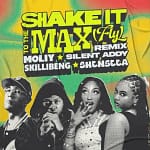 MOLIY – Shake It To The Max (FLY) [Remix] Ft. Silent Addy, Skillibeng & Shenseea